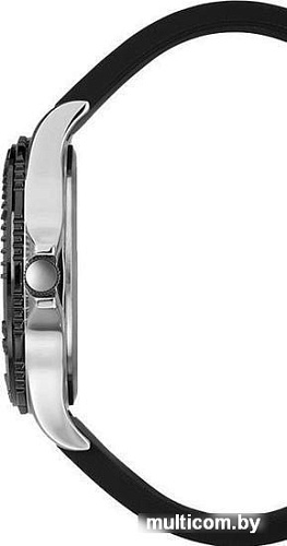 Наручные часы Timex TW2P87200