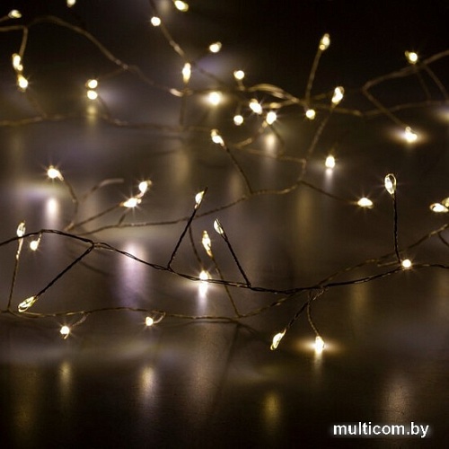 Световой дождь ЭРА ERAPS-R