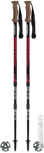Треккинговые палки Masters Scout Antishock CSS 01S4919