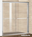 Душевая дверь RGW TO-10 200 см (матовое стекло)
