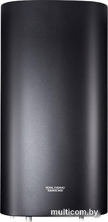 Бойлер косвенного нагрева с ТЭНом Royal Thermo Aquatec Inox RTWX-F 100.1 (графит)