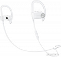 Наушники Beats Powerbeats3 Wireless [ML8W2]