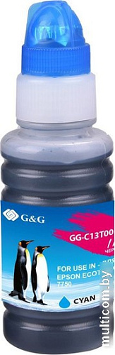 Чернила G&G GG-C13T00R240