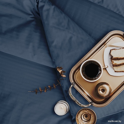 Постельное белье Verossa Stripe Sapphire VRT 180/215М 70308 ST13 01