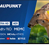 Blaupunkt 55UBC6000T