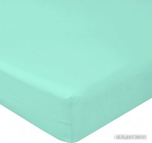 Постельное белье Luxsonia Сатин на резинке 80x200 Мр0010 (ментоловый)