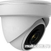 IP-камера Arsenal AR-IP202/40 Starlight
