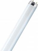 Светодиодная лампа Osram Natura De Luxe L G 13 36 Вт