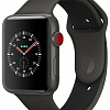 Часы Apple Watch Edition Series 3 38mm with Sport Band