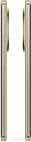 Смартфон Realme 13 Pro+ 8GB/256GB (золотистый)