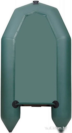 Моторно-гребная лодка Leader Boats Тайга-290-М 2902021 (зеленый)