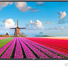Телевизор LG 32LJ500U