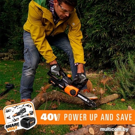 Аккумуляторная пила Worx WG384E.9 (без АКБ)