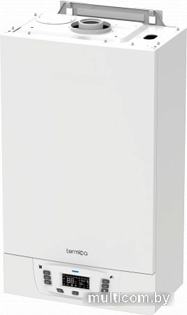 Отопительный котел Termica Grata 24 SF