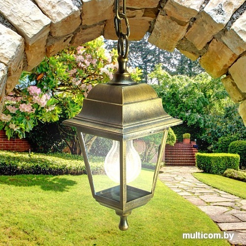 Уличный подвесной светильник ЭРА НСУ 04-60-001 Б0048106