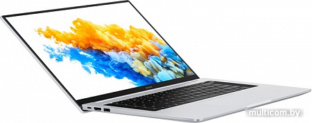 Ноутбук HONOR MagicBook Pro 16 HLYL-WFQ9 53011NHQ