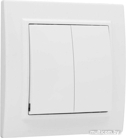 Выключатель EKF Basic Минск ERV10-023-10