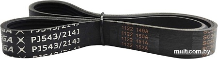 Ремень Белмаш поликлиновой PJ543/214J RR085A
