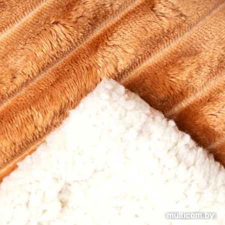 Плед Marianna Лондон 6833942 220x240