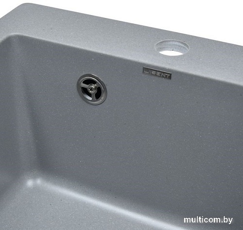 Кухонная мойка Wisent 420-29W (с сифоном GER013)