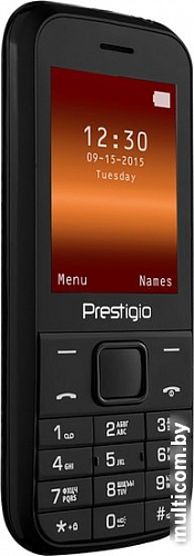 Мобильный телефон Prestigio Wize G1 (черный)