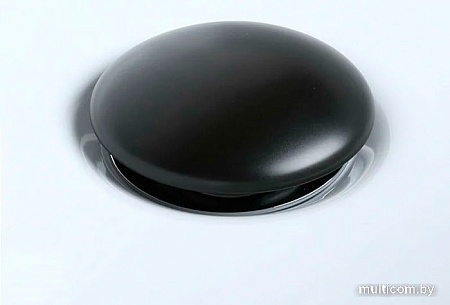 Донный клапан WeltWasser PP MT-BL (черный матовый)