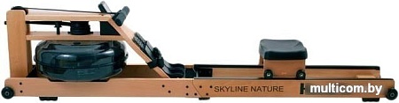 Гребной тренажер HouseFit Skyline Nature DH-8634