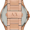 Наручные часы Armani Exchange AX2449