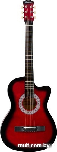 Акустическая гитара Terris TF-3802C RD