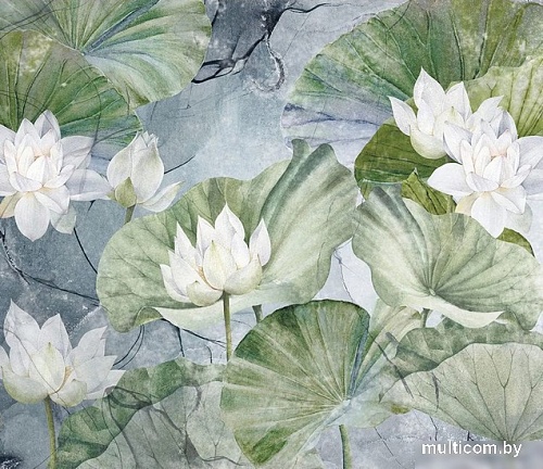 Фотообои Citydecor Blossom 26 300x260