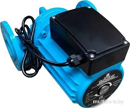Циркуляционный насос Greenpump LPS 50-170/250