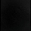 Планшет с зажимом BRAUBERG 226822 (черный)