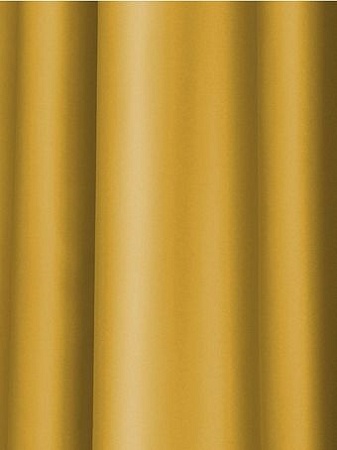 Комплект штор Pasionaria Блэквуд 400x270 (желтый)