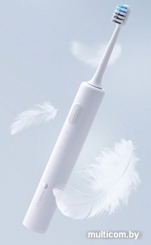 Электрическая зубная щетка Xiaomi BET-C01