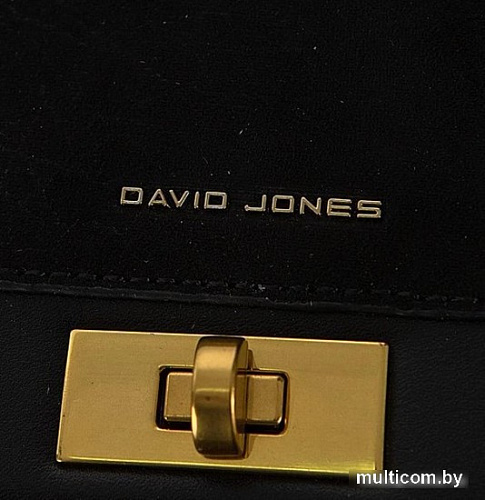 Женская сумка David Jones 823-CM6730-BLK (черный)