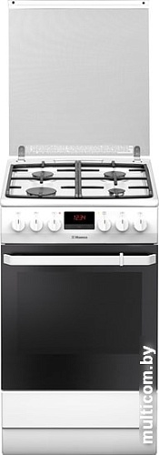 Кухонная плита Hansa FCMW59299