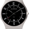 Наручные часы Skagen 233XXLSLB