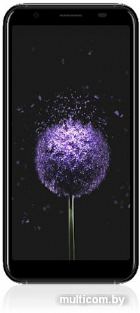 Смартфон Doogee X55 (черный)