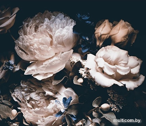 Фотообои Citydecor Цветы и Растения 3 300x260