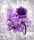 Картина Декарт 8Л3809