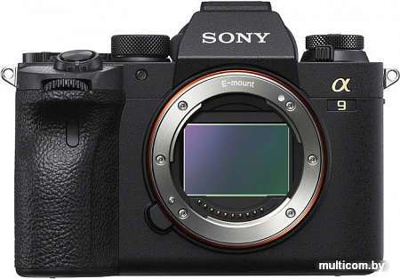 Беззеркальный фотоаппарат Sony Alpha a9 II Body