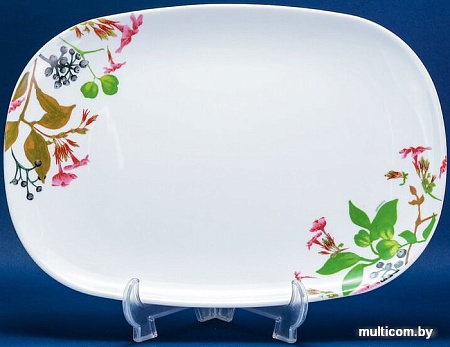 Столовый сервиз Luminarc Carine Prunier N2251