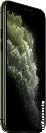 Смартфон Apple iPhone 11 Pro Max 64GB Dual SIM (темно-зеленый)