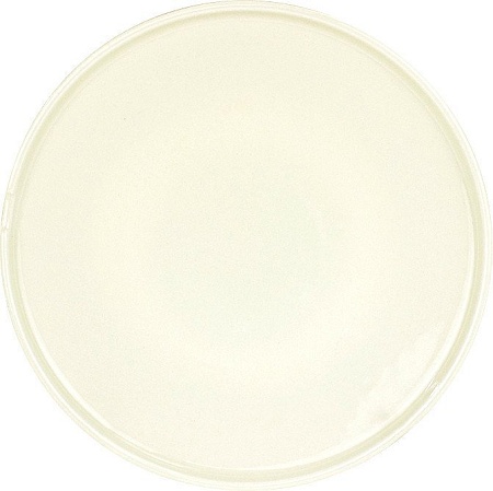 Тарелка обеденная Kutahya Chef Taste Of BNCTO19DU00