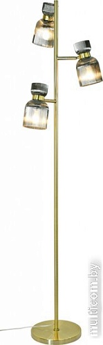 Moderli Hadley V11006-F