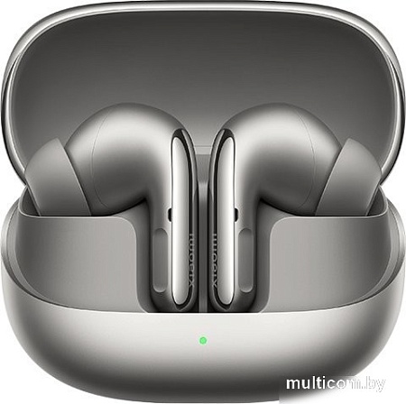 Наушники Xiaomi Buds 5 Pro M2437E1 (титановый, международная версия)