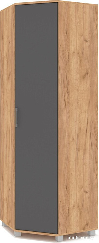 Шкаф распашной Modern Карина К57 (золотой дуб/графит)