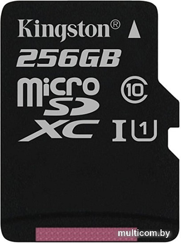 Карта памяти Kingston Canvas Select SDCS/256GBSP microSDXC 256GB