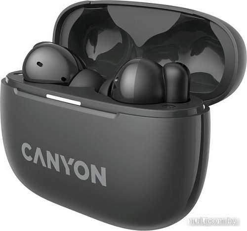 Наушники Canyon OnGo 10 ANC TWS-10 (черный)