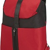 Рюкзак Samsonite Asterism 15.6 CS6-00004 (красный)